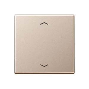 Steuertaste Standard A 1700 P CH champagner
