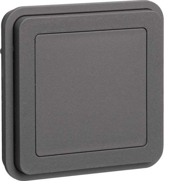 Blindverschluss-Einsatz 42903505 grau matt Blindverschluss-Einsatz 42903505 grau matt