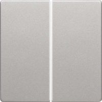 Taste 2-fach 85142124 alu samt lackiert