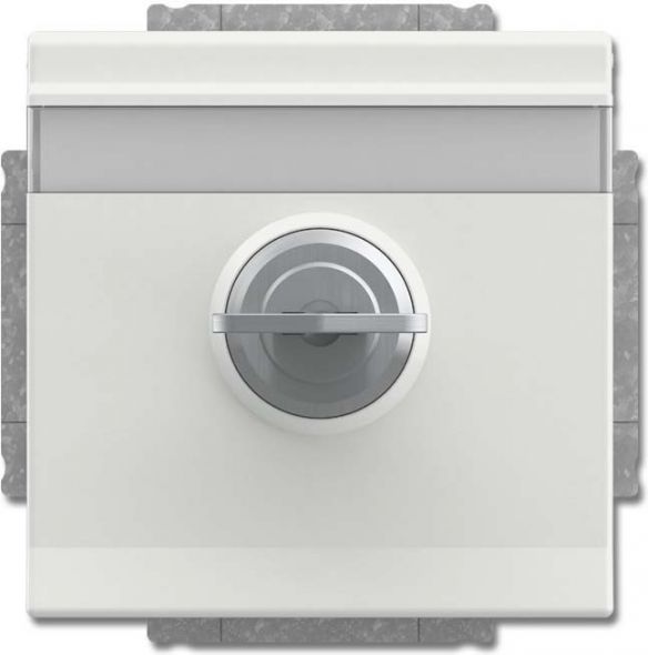 SCHUKO Steckdosen-Einsatz 20 EUKNBSL-884-101 SCHUKO Steckdosen-Einsatz 20 EUKNBSL-884-101