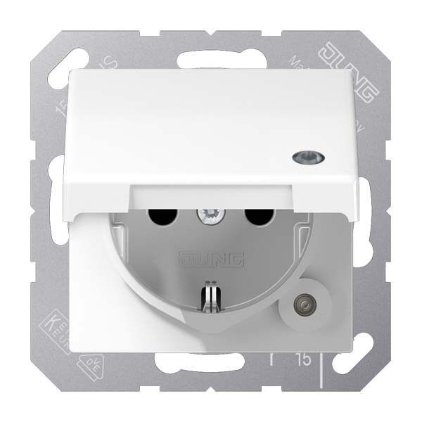 SCHUKO-Steckdose 16 A 250V ABAS 1520 KLKO WW