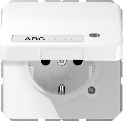 SCHUKO-Steckdose CD 1520 NAKLKO WW