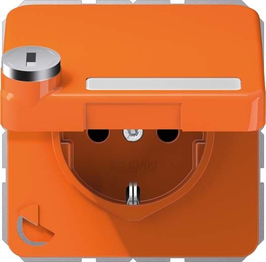 SCHUKO-Steckdose 16A 250V CD 1520 NAKLSL O