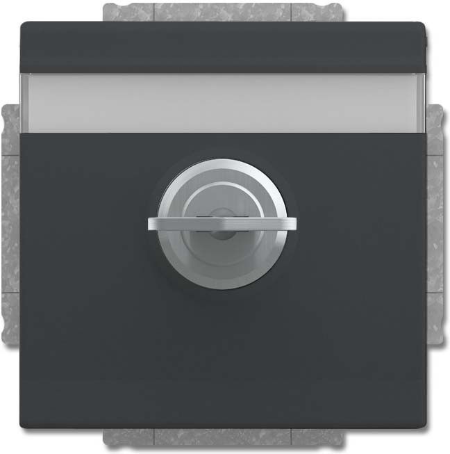 SCHUKO Steckdosen-Einsatz 20 EUKNBSL-81-101 SCHUKO Steckdosen-Einsatz 20 EUKNBSL-81-101