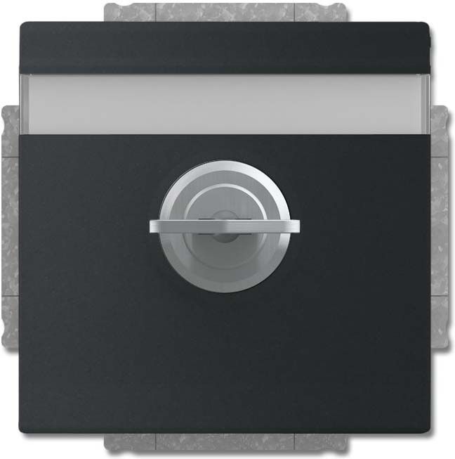 SCHUKO Steckdosen-Einsatz 20 EUKNBSL-885-101