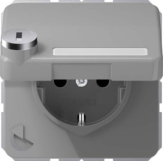 SCHUKO-Steckdose 16A 250V CD 1520 NAKLSL GR SCHUKO-Steckdose 16A 250V CD 1520 NAKLSL GR