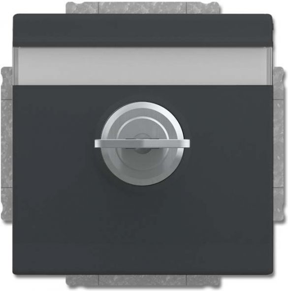SCHUKO Steckdosen-Einsatz 20 EUKNBSL-81-101 SCHUKO Steckdosen-Einsatz 20 EUKNBSL-81-101