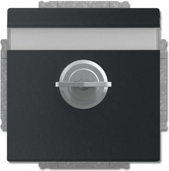 SCHUKO Steckdosen-Einsatz 20 EUKNBSL-885-101