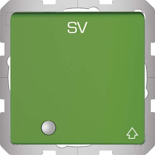 SCHUKO-Steckdose 41516013 grün samt Aufdruck SV