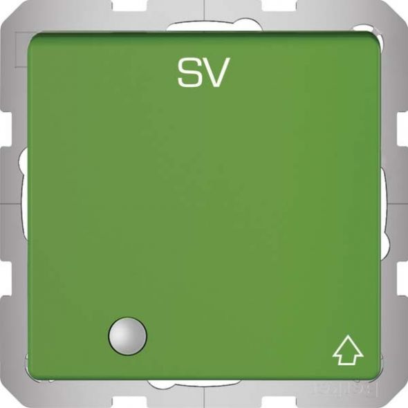 SCHUKO-Steckdose 41516013 grün samt Aufdruck SV SCHUKO-Steckdose 41516013 grün samt Aufdruck SV
