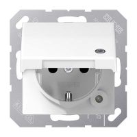 SCHUKO-Steckdose 16 A 250V ABAS 1520 KLKO WW