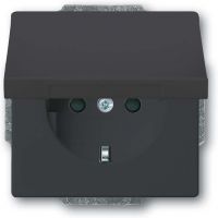 SCHUKO Steckdosen-Einsatz 20 EUKBR-81