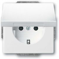SCHUKO Steckdosen-Einsatz 20 EUKBR-84