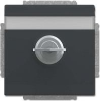 SCHUKO Steckdosen-Einsatz 20 EUKNBSL-81-101
