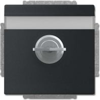 SCHUKO Steckdosen-Einsatz 20 EUKNBSL-885-101