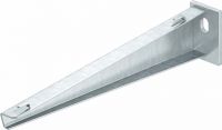 Wand+Stielausleger AW G 15 41 FT