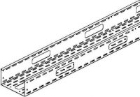 Kabelrinne RSV 110.300 F