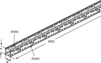 Leuchtentragschiene 15N1-50