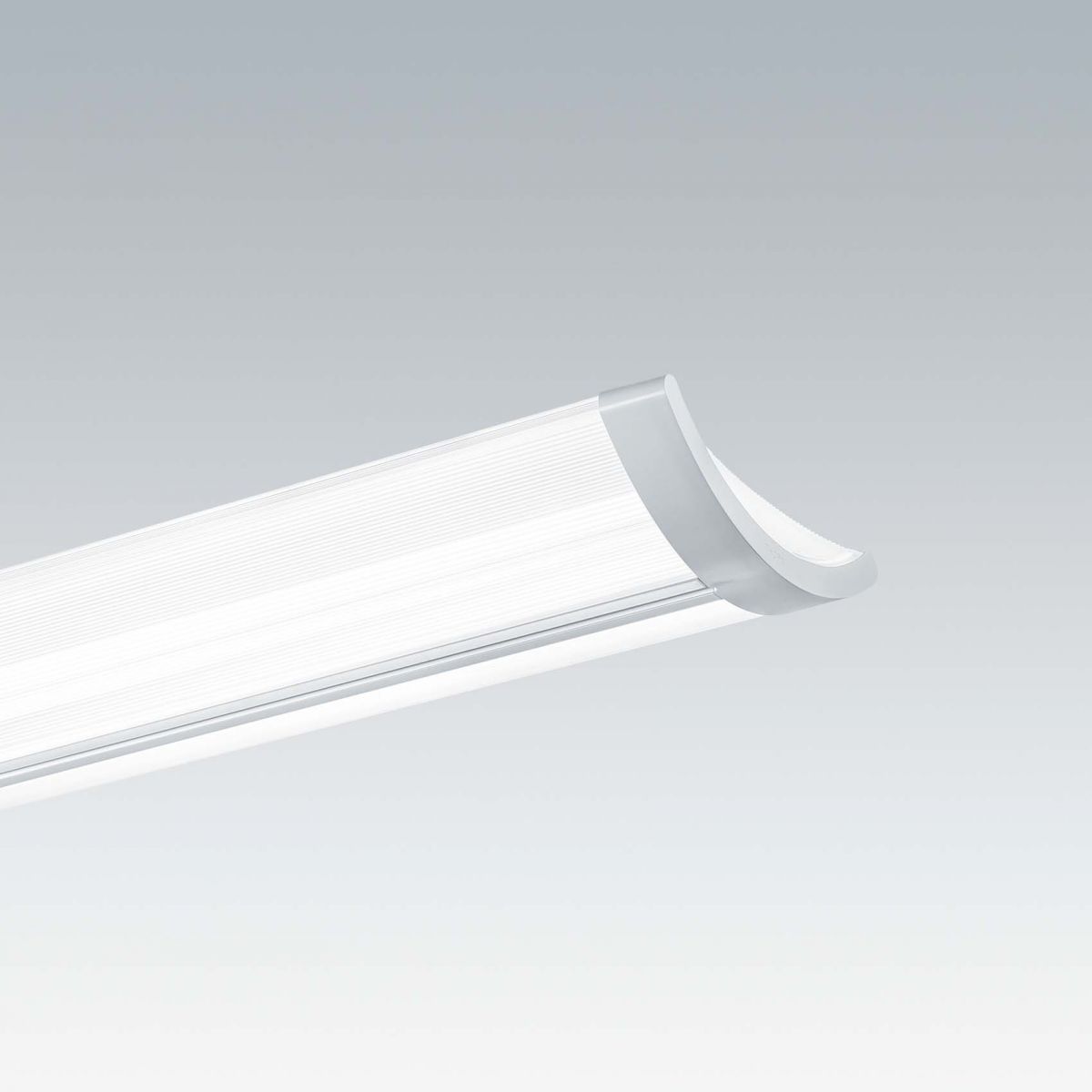 LED-Anbauleuchte IQ SURF L  #96629274