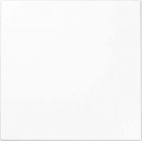 LED-Fluter PL F1 D05 SW schwarz