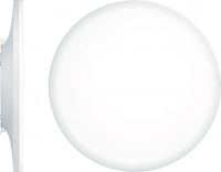 LED-Wand-/Deckenleuchte CAELA RLS  #62908679