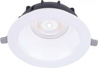 LED-Downlight 140057171