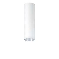 LED-Deckenanbauleuchte P-INF SC R #60818348