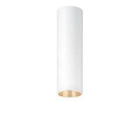 LED-Deckenanbauleuchte P-INF SC R #60818364