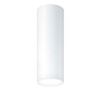 LED-Deckenanbauleuchte P-INF SC R #60818405