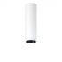 LED-Deckenanbauleuchte P-INF SC R #60818376