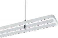 LED-Pendelleuchte 8726441583410