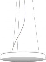LED-Pendelleuchte 312091.002.1