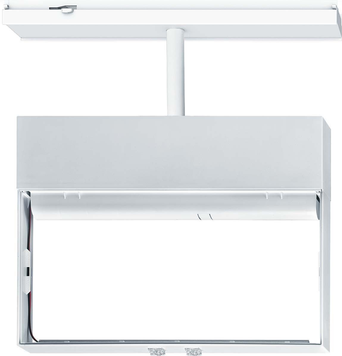 Sicherheitszeichenleuchte CROSSIGN  #42185961