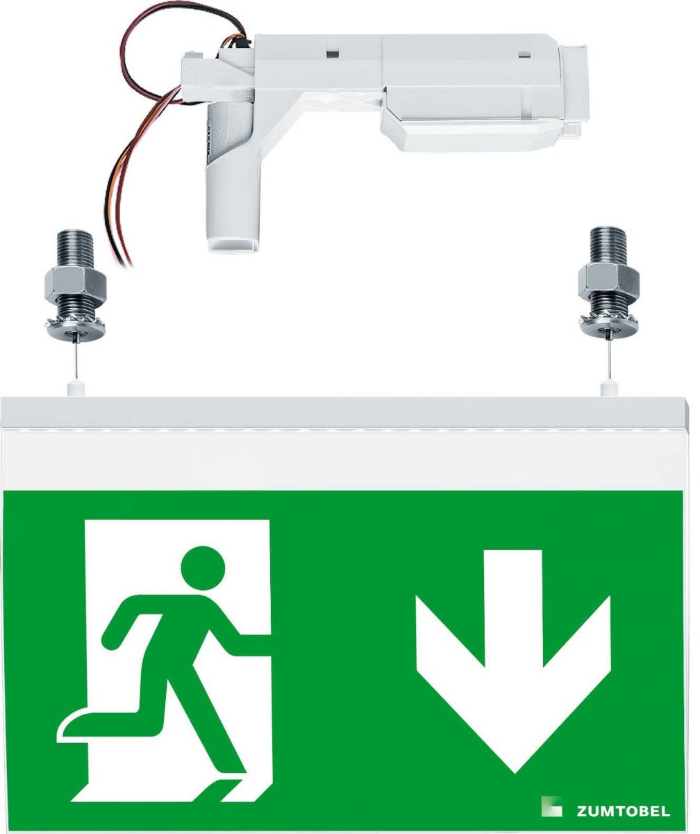 Sicherheitszeichenleuchte PURESIGN/C #42186092