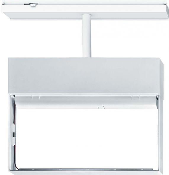 Sicherheitszeichenleuchte CROSSIGN  #42185947