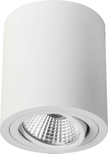 LED-Deckenanbauleuchte 12063173