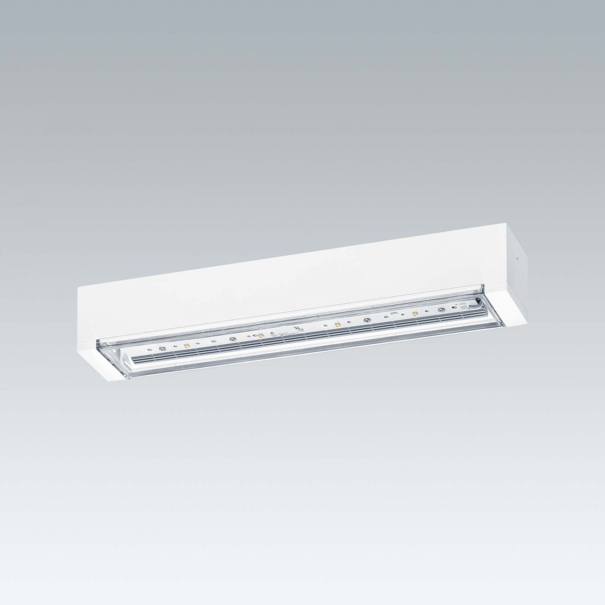 LED-Notlichtleuchte VOYAGERONE #96631601