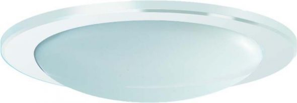 Kunstglas mit Dekorring DR235-HO-K-D-W Kunstglas mit Dekorring DR235-HO-K-D-W