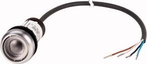 Drucktasterabschluss C22-D-X-K11-P65 Drucktasterabschluss C22-D-X-K11-P65