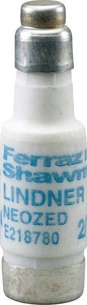 D01-Sich.Einsatz 10A Gl-Gg D01GG44V10