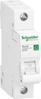 Leitungsschutzschalter R9F23116 B-16A 1-polig