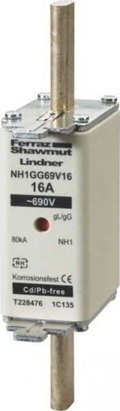 NH-Sicherungseinsatz NH1GG69V160