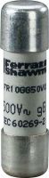 Sicherung FR10GG50V16