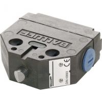Nockenschalter BNS 819FL60101FDS80R