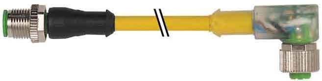 M12 Stecker gerade 7000-40321-2130030 M12 Stecker gerade 7000-40321-2130030