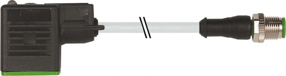 M12-Stecker 7000-40961-2160200 M12-Stecker 7000-40961-2160200