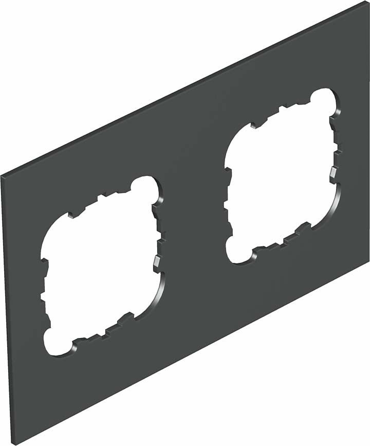 Abdeckplatte T12L P2S 9011