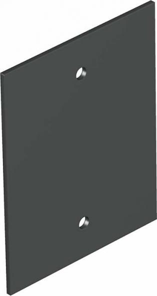 Abdeckplatte T12L P01S 9011