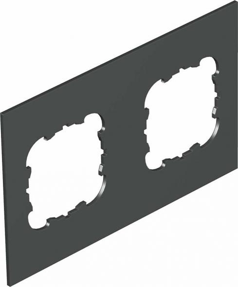 Abdeckplatte T12L P2S 9011