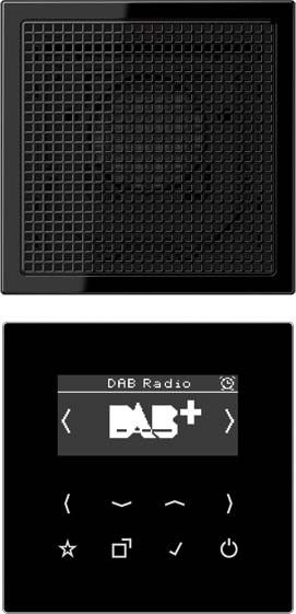 Smart DAB+ Digitalradio DAB LS1 SW schwarz